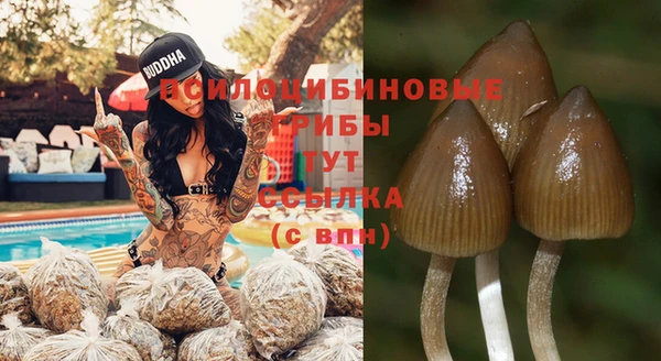 бошки Магас