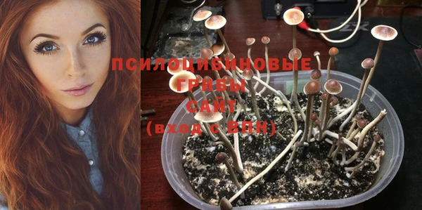 COCAINE Лихославль