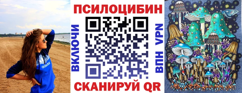 Псилоцибиновые грибы Psilocybe  купить наркотик  Приволжск 