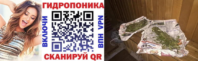 Каннабис семена  Приволжск 